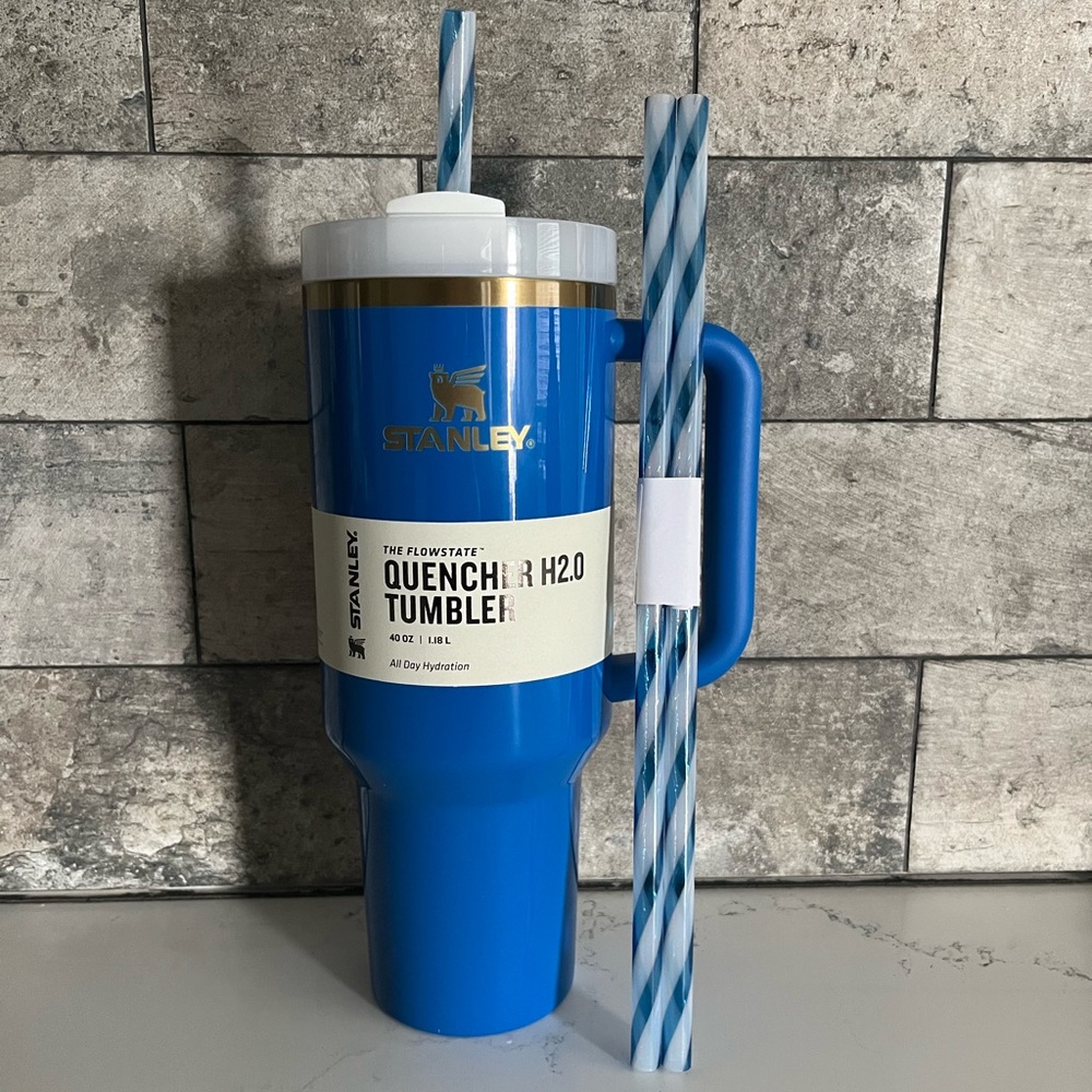 Stanley Quencher (Arctic Twist)